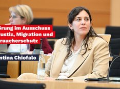 Anhörung AfD-Verbot
