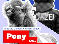 Polizeiverletzungen_Slide_1
